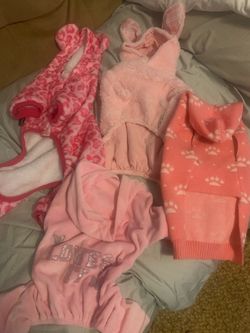Dog clothes