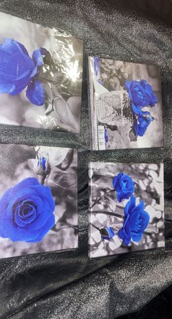 4 Small Brand New Pictures