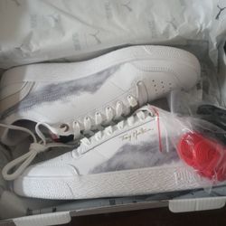Pumas