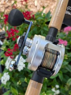 Shimano Calcutta Reel/New Braid/New Black Tip Rod