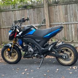 kawasaki z125 2018 special edition 