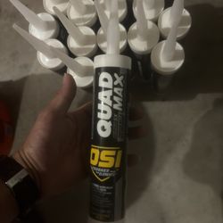 Caulking ( OSI Quad Max)