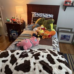 Pottery Barn bedroom twin set