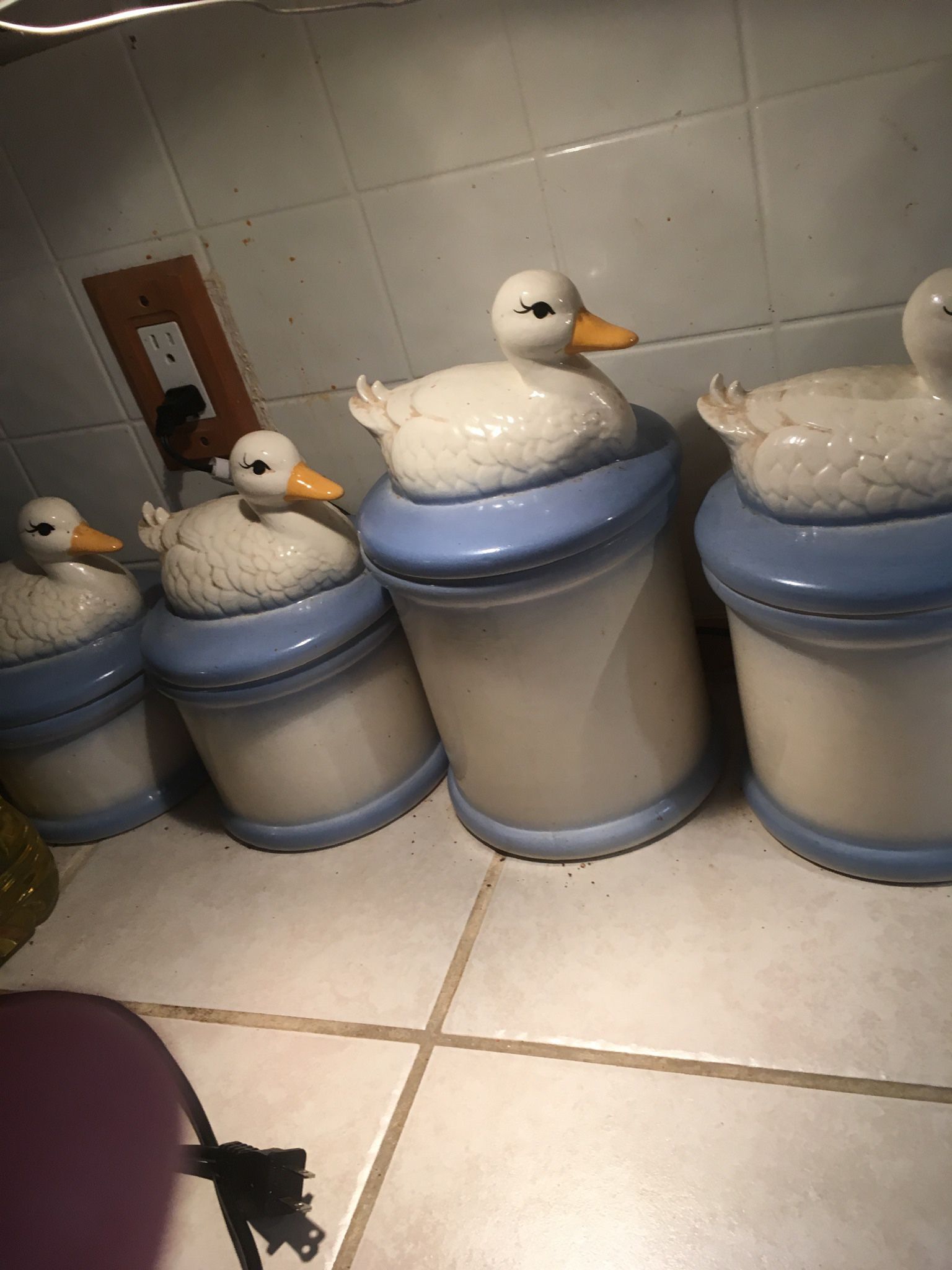 Duck Canisters-  4 Pc Set$50