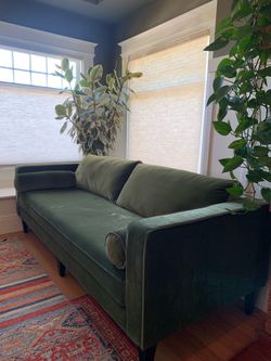 Moss Green Velvet Sofa