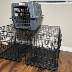 Dog Kennels