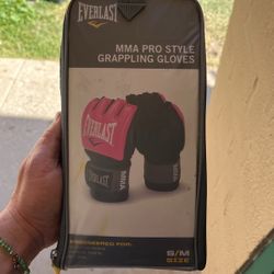 MMA Pro Style Gloves