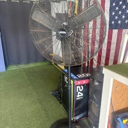 Large  fans (2)