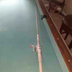 True Temper Pole With Penn Delmar 285 Reel