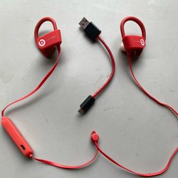 Powerbeats  Wireless Earbuds 