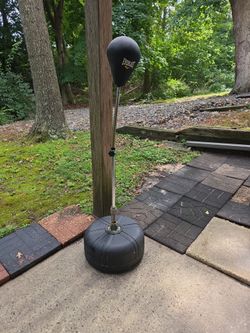 Everlast Freestanding Speed Bag