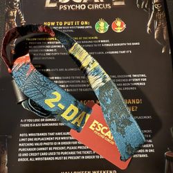 Escape 2-Day GA Ticket (wristband)