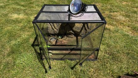 Fish and reptile tanks - FREE