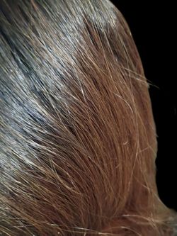 Lace front wig