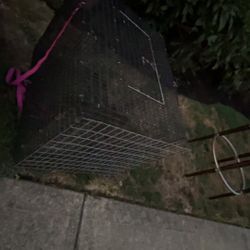 Bird Mating Cage 