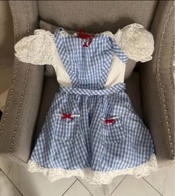 Dorothy Costume 
