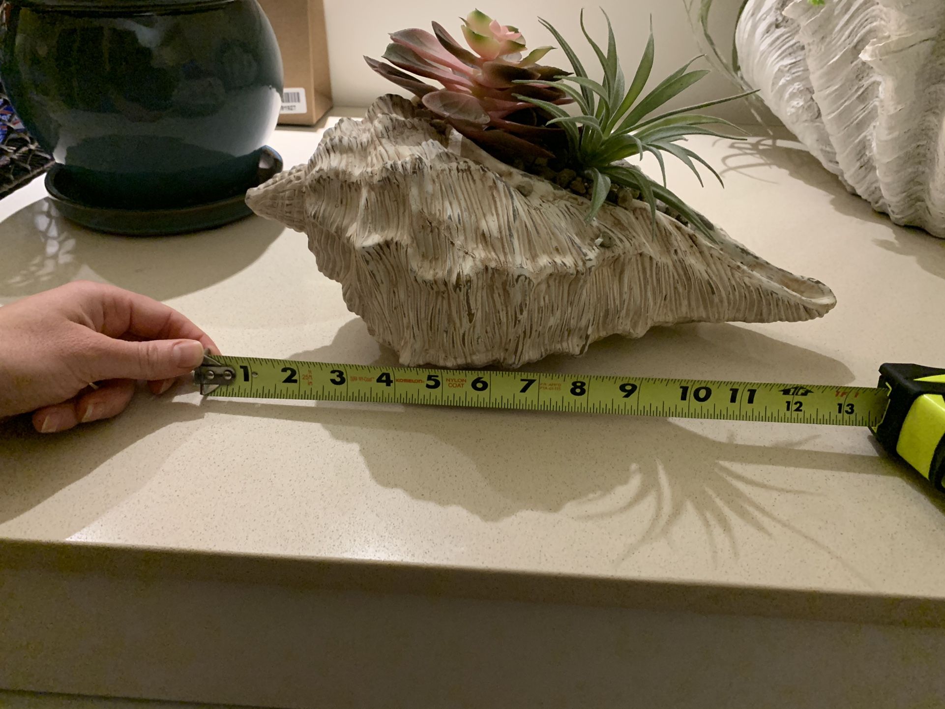 Decorative Feux Plant/Succulent in Shell