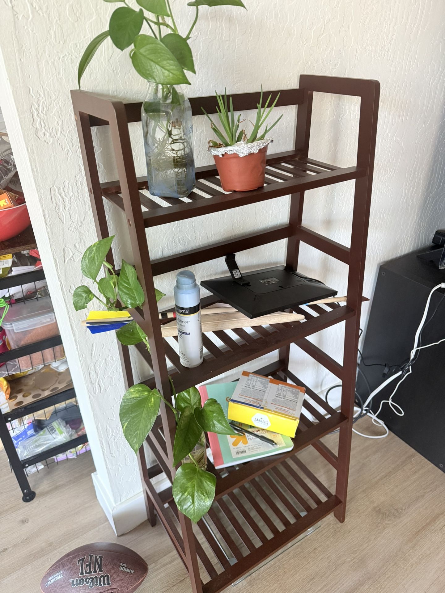 Ladder Shelf
