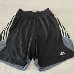 Adidas men's shorts, size M