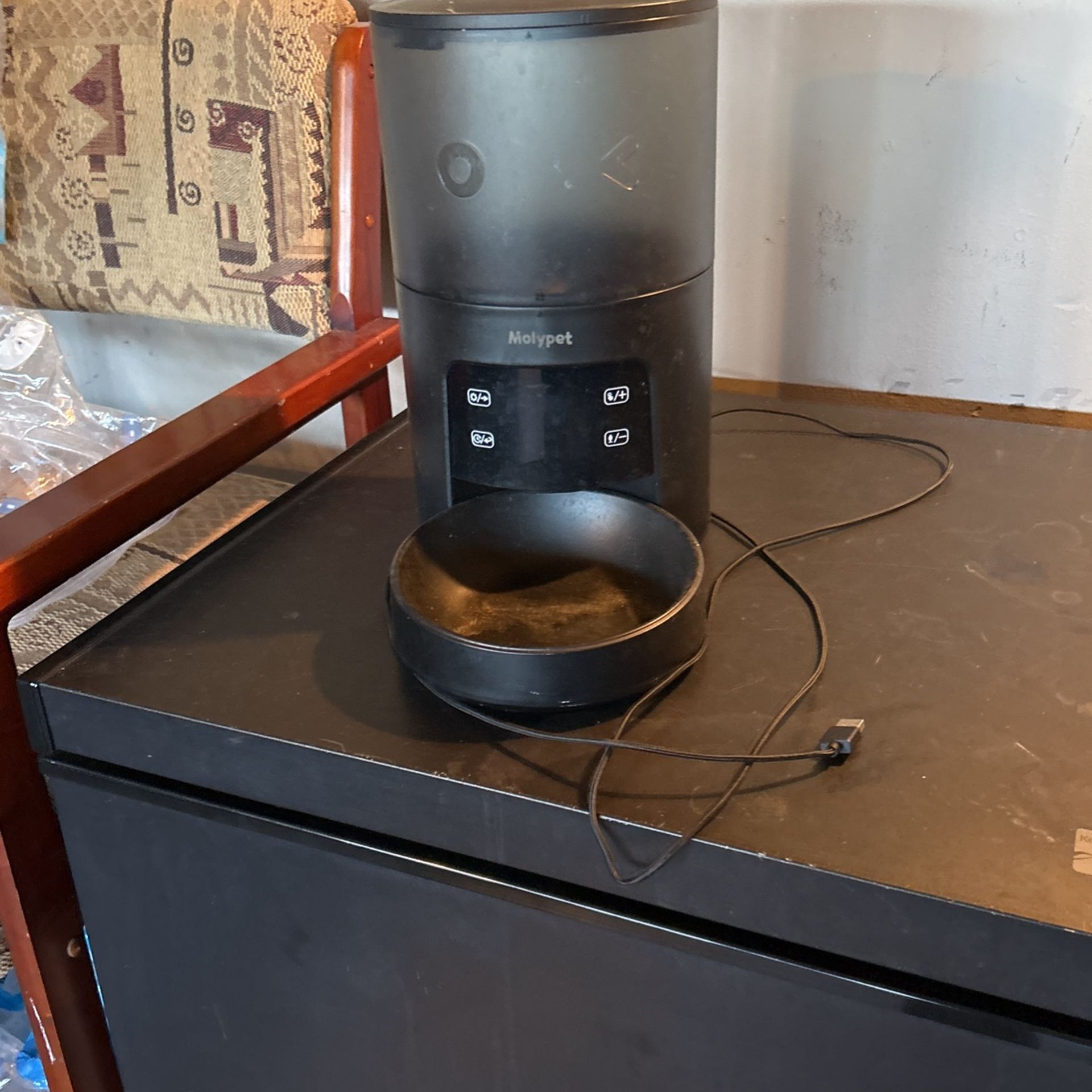 Cat or dog feeder automatic