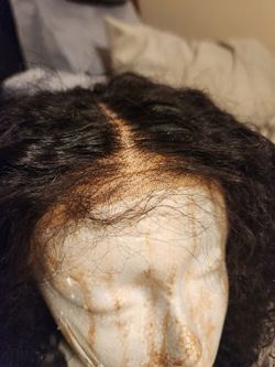 18in. Burmese  Curly pull and go wig