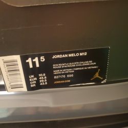 Jordan Melo M12 *light Wear*