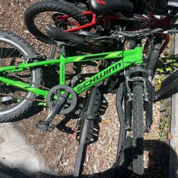 Free Kids Bike