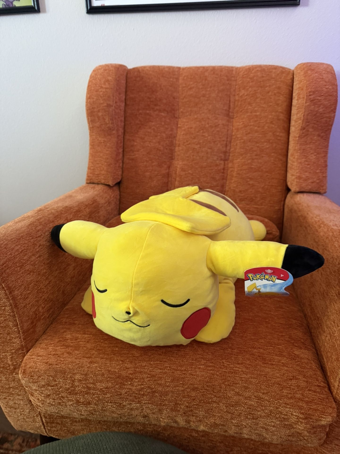 Sleeping Pikachu Pokemon Plushie