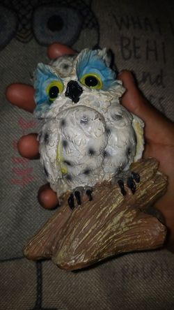 Owl