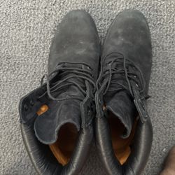 Timberland 6inch Boot 