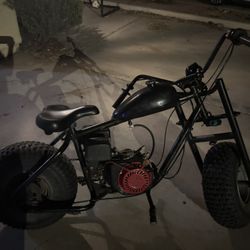 Pit Bike In Arizona,