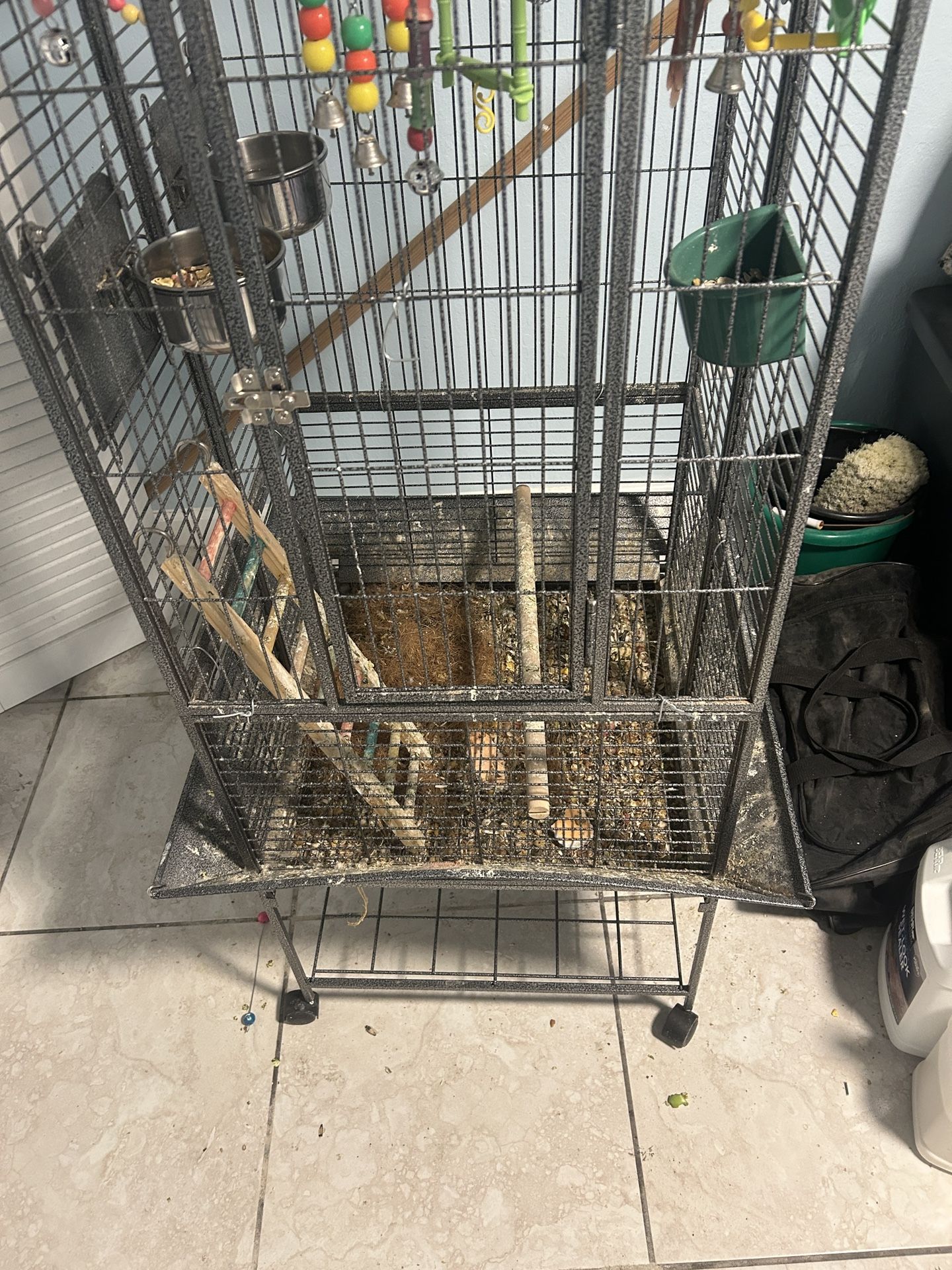Bird Cage Pineapple Greencheek Conure