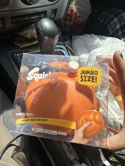 Turkey Squishy