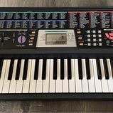 CTK-501 Standard Electric Keyboard made by Casio International. - $95 OBO - Non Contact Door Pickup 