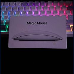 Apple Mouse  (Magic Mouse)