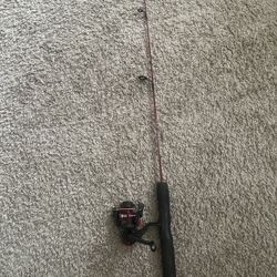 Zebco Dock Demon Spinning Reel and Fishing