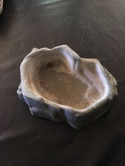 Reptile water dish