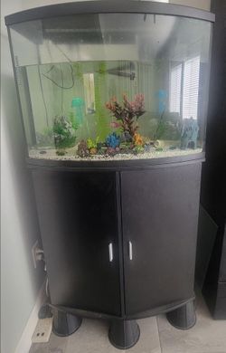 35 gallon fish tank