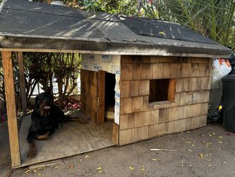 Dog House