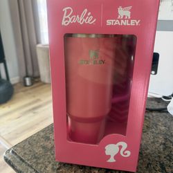Barbie Stanley cup