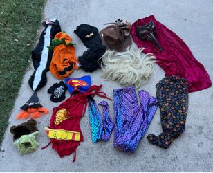Halloween Costume Lot – Mixed Pieces
