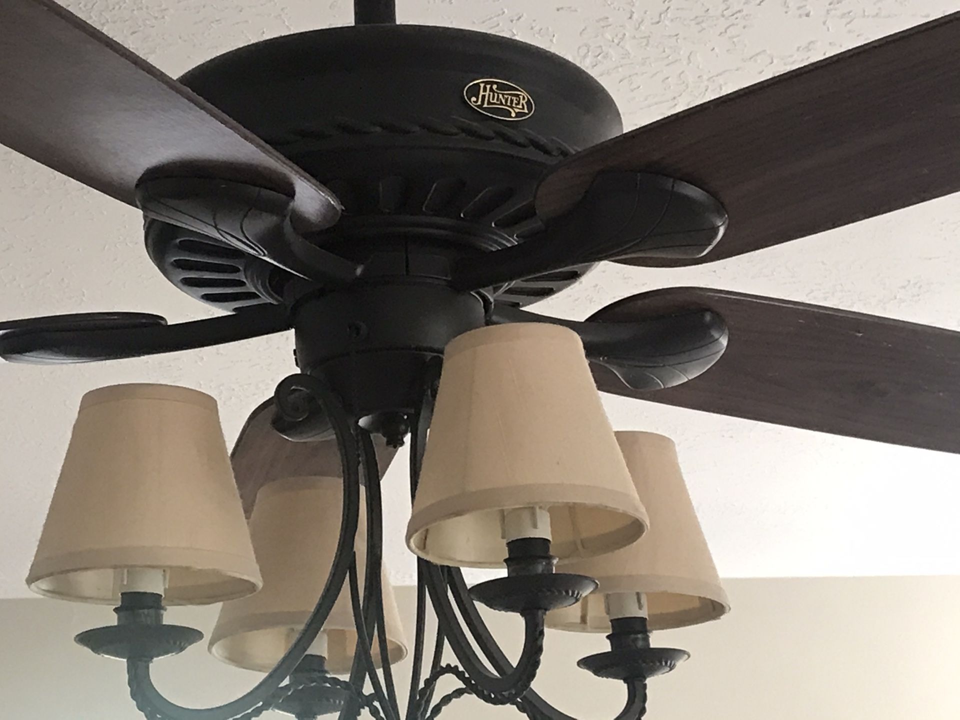 Beautiful Hunter ceiling fan with unique light kit.