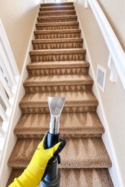 Sofa and carpet cleaner