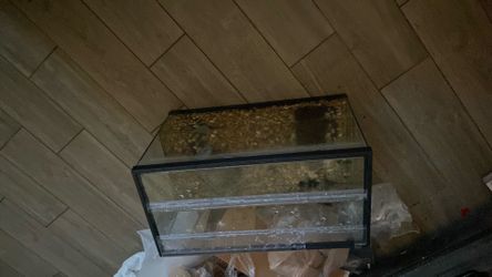 10 gallon tank
