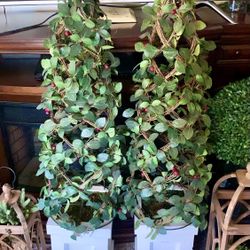 Tall Fleur de lis Berry  Topiaries In White Wood Planters 