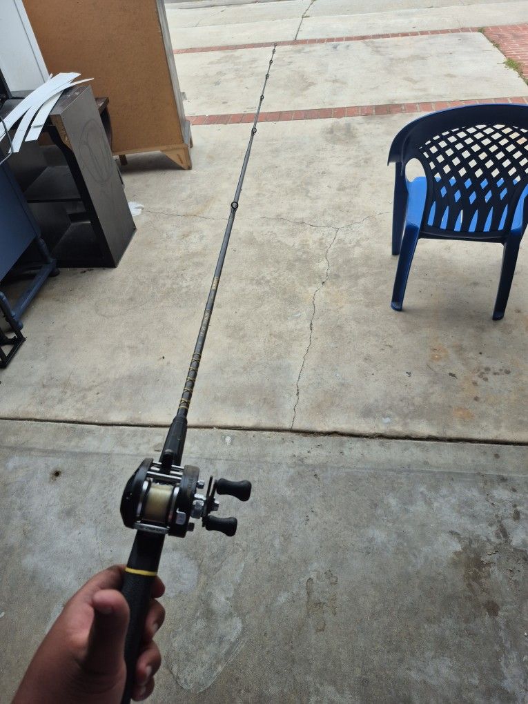 Diawa fishing rod with reel