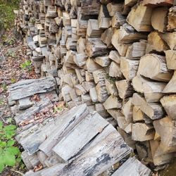 Seasoned Firewood