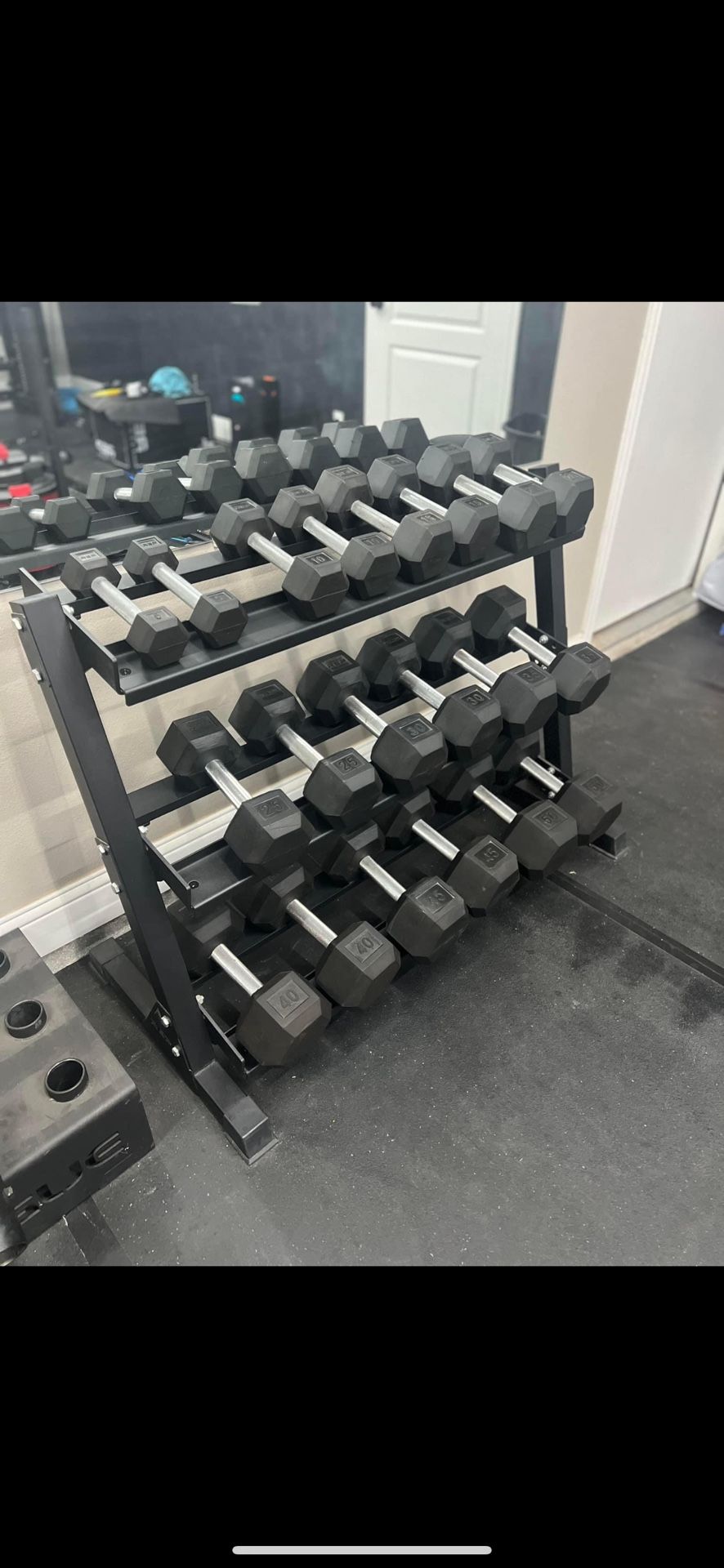 REP Dumbbell Set 5-50lbs with Rack