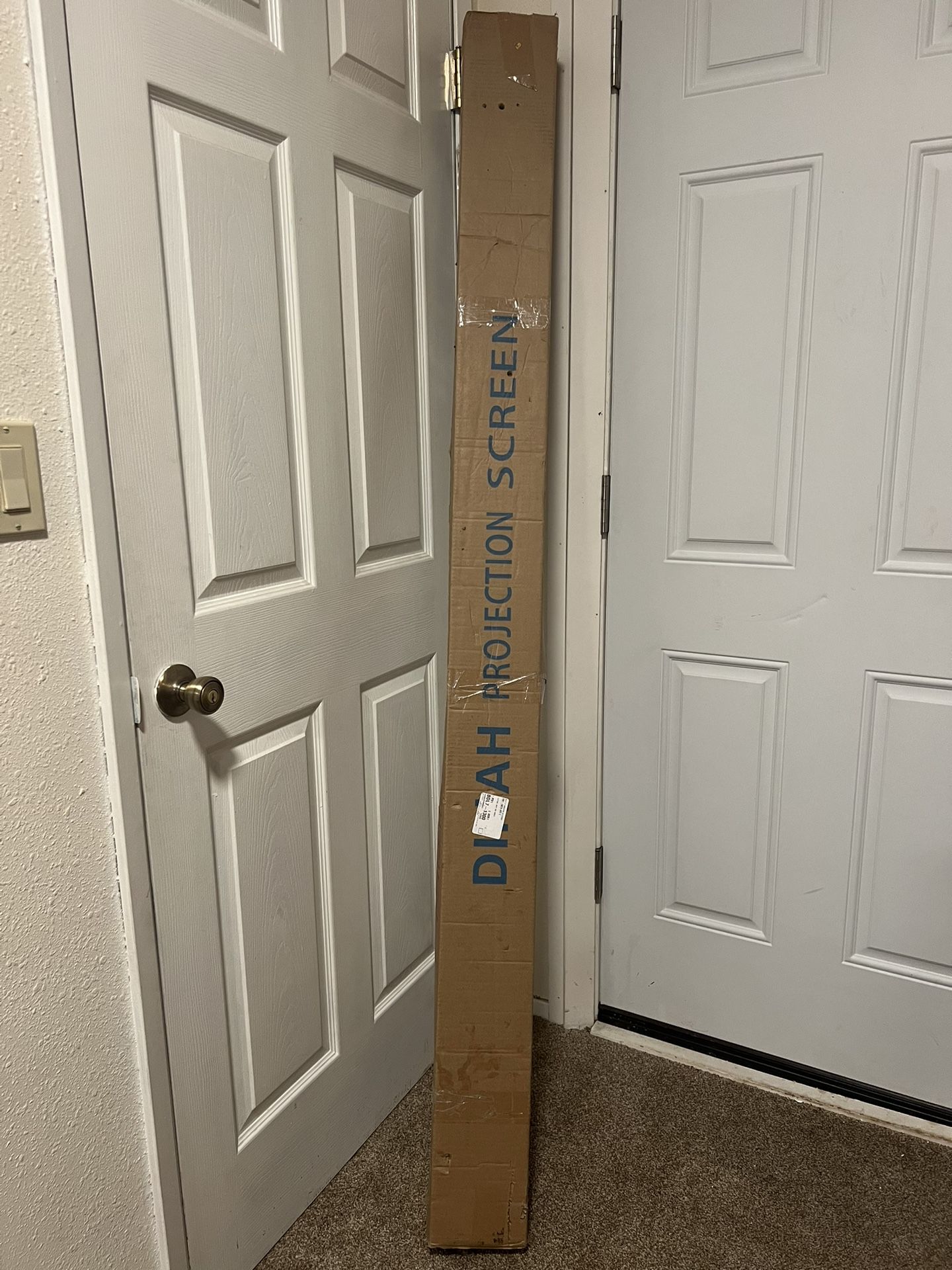 Dinah Projector Screen 72”