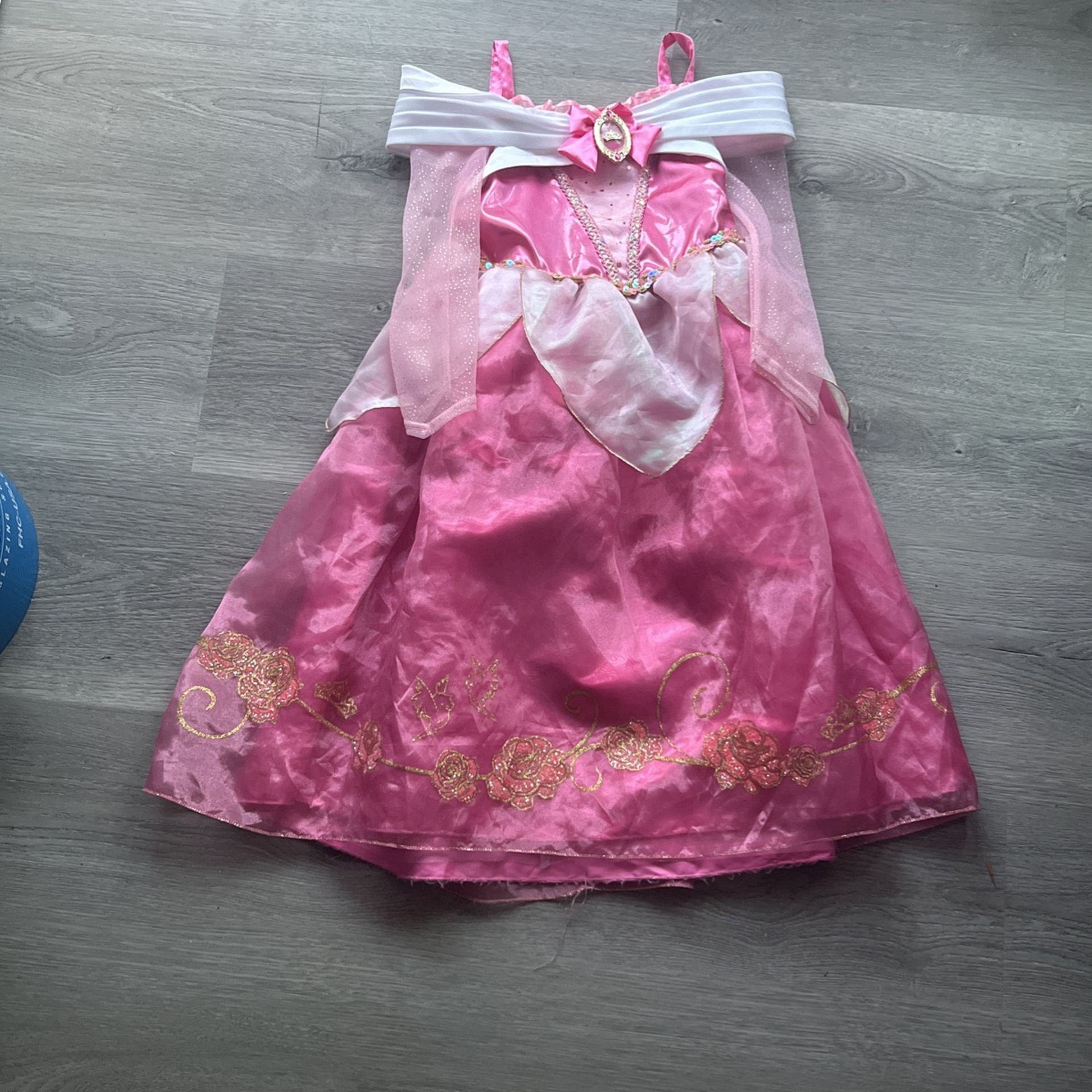 Disney Princess Aura Costume